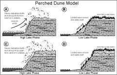 Perched Dune Model